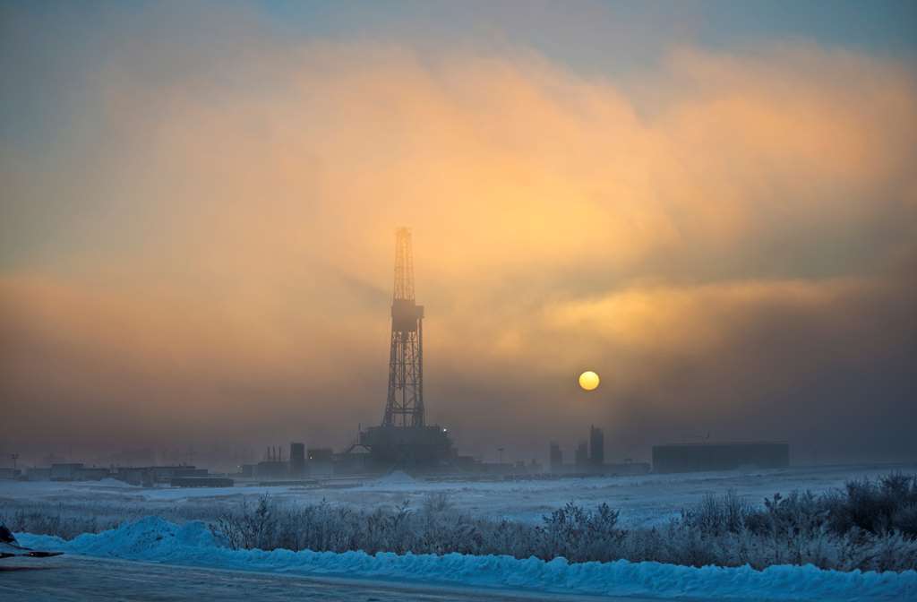 Woodspring Suites Williston Comodidades foto